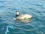 Подводная охота. Коста-Рика.